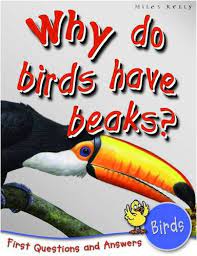 why do birds have beaks?.