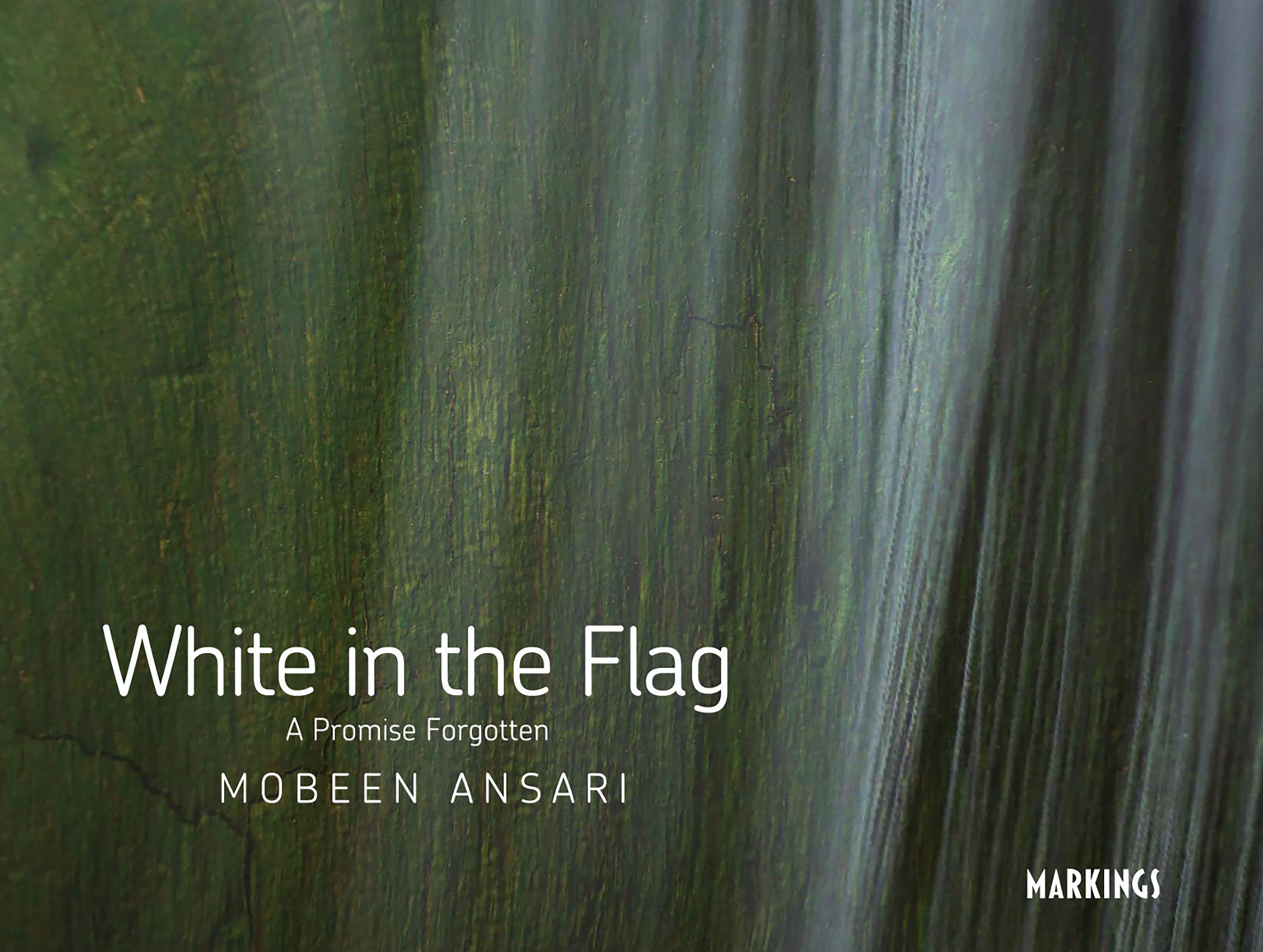 white in the flag