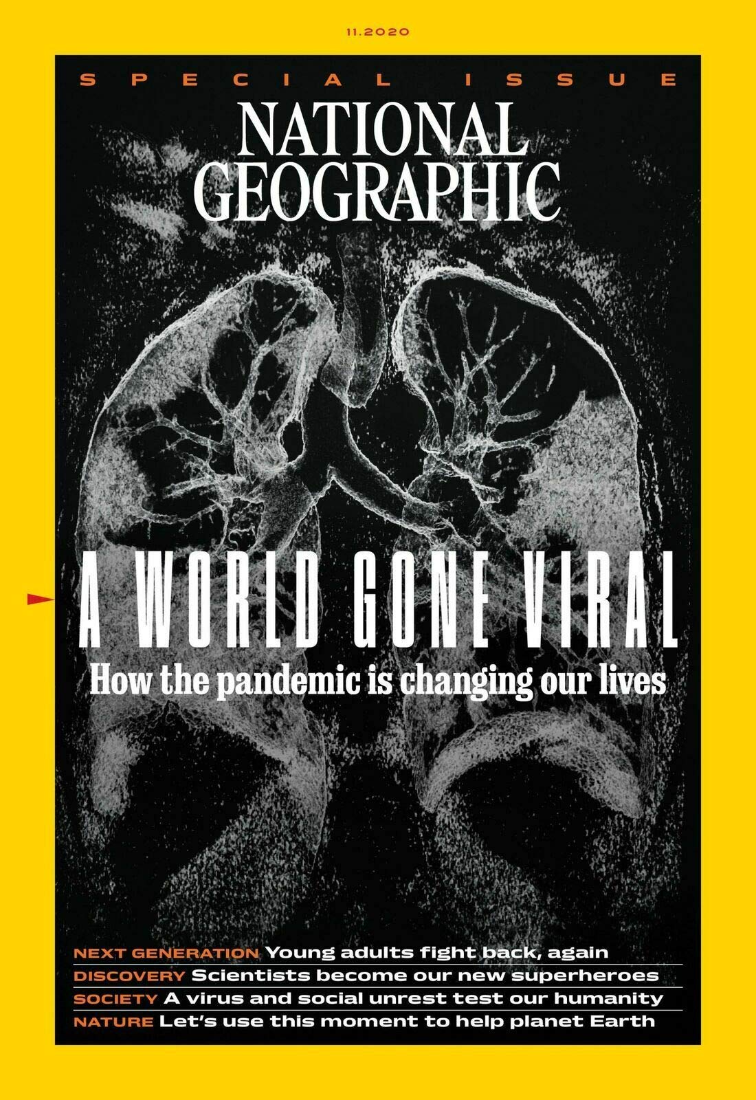 special issue: a world gone viral