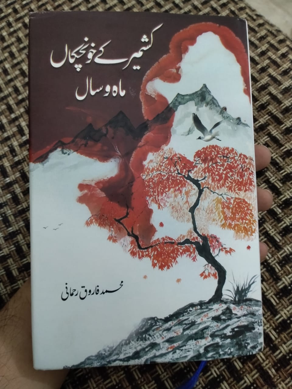 kashmir kay khoonchukan mah wa sal book by farooq rehmani