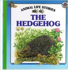 The Hedgehog
