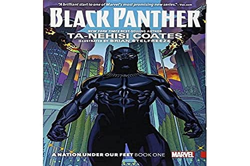 black panther: a nation under our feet book 1