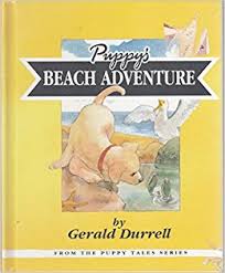 Puppy's Beach Adventure : Puppy Goes to the
Seaside
