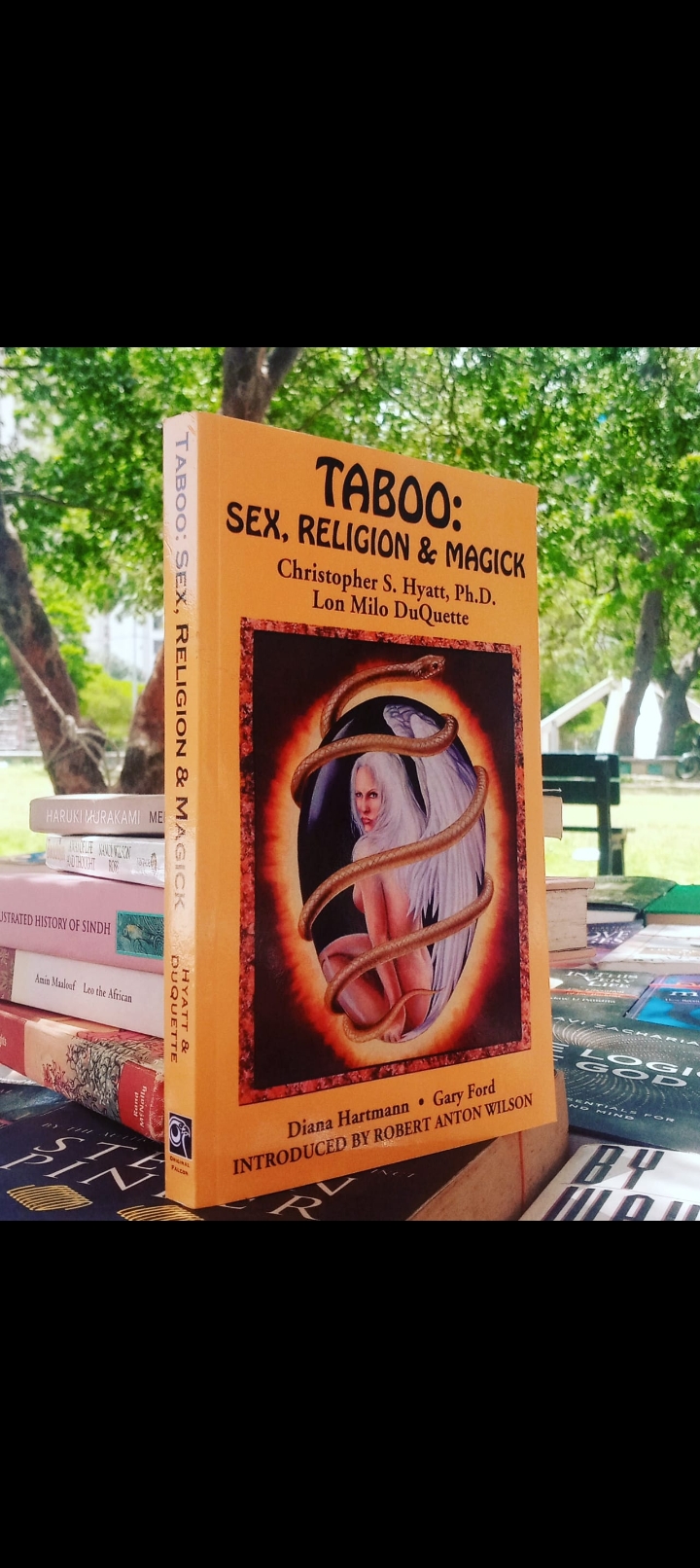 taboo: sex, religion & magick by christopher s. hyatt. new original paperback rs.2500 delivery free 