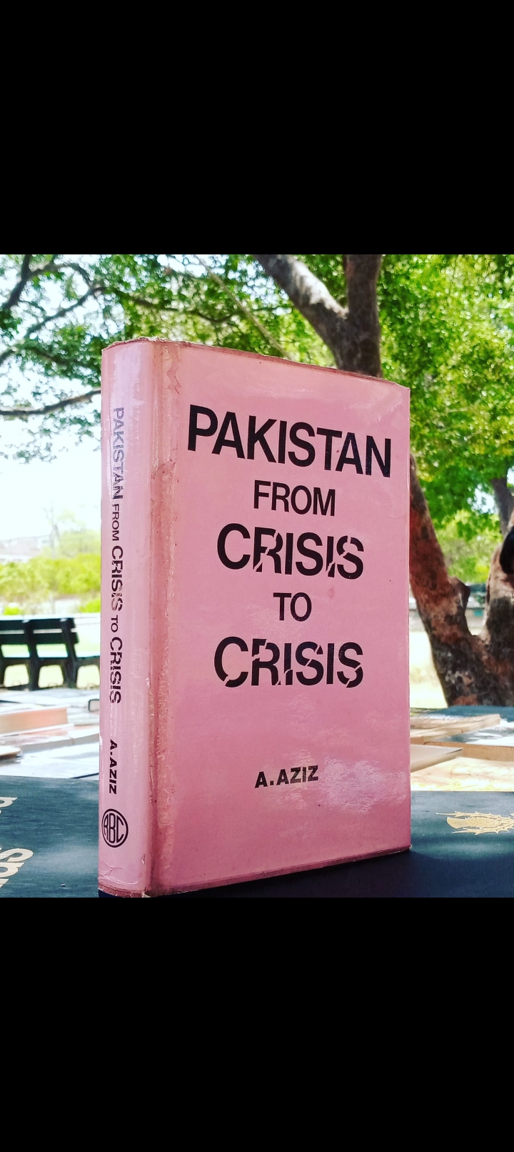 pakistan from crisis to crisis by a.aziz. original hardcover