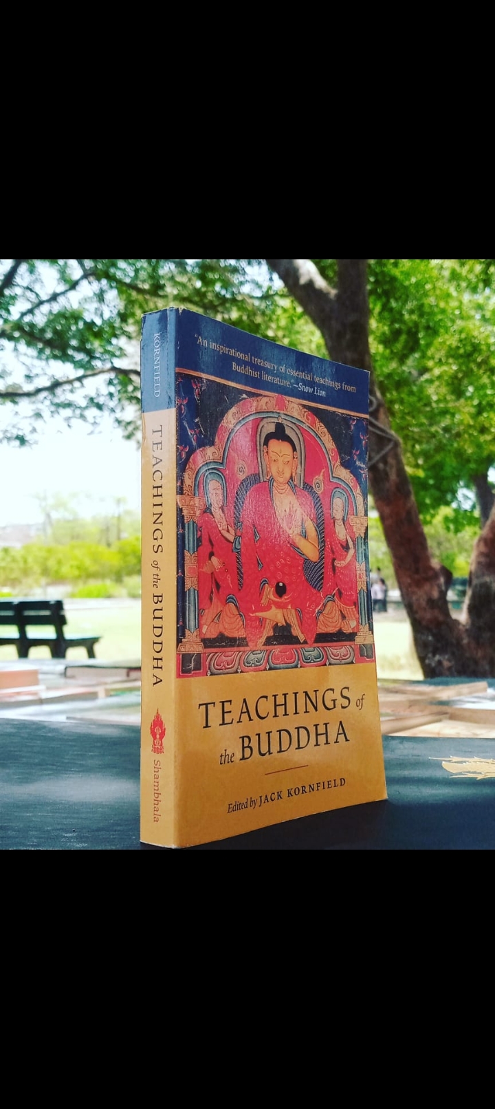 teachings of the buddha edited  by jack kornfield. original paperback