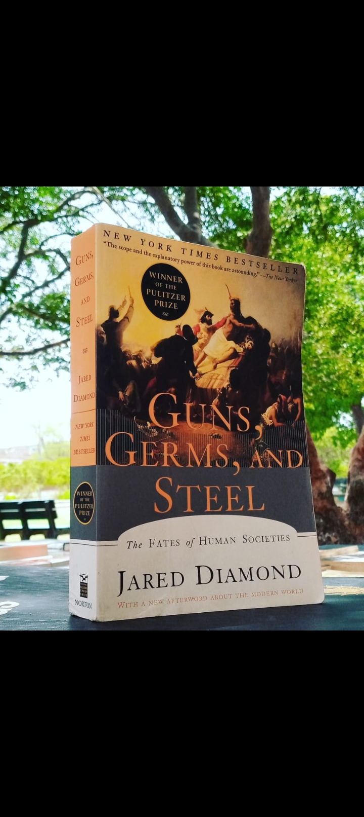 guns, germs, and steel the fates of human societies by jared diamond. original paperback large size