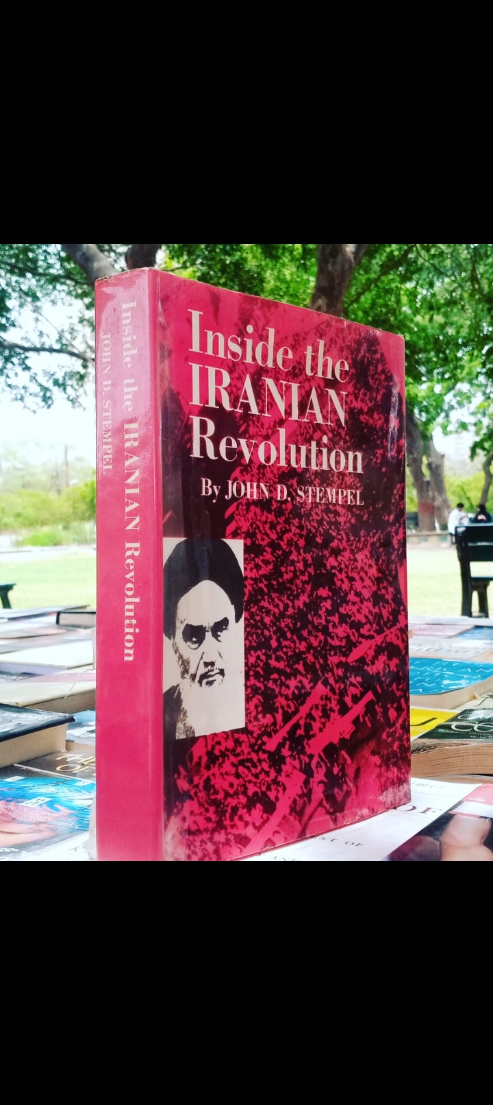 inside the iranian revolution by john d.stempel. original hardcover
