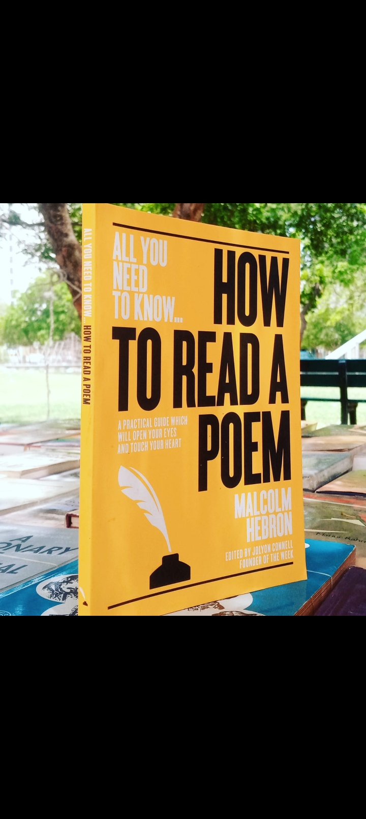 all you need to know how to read a poem by malcolm hebron. original new paperback