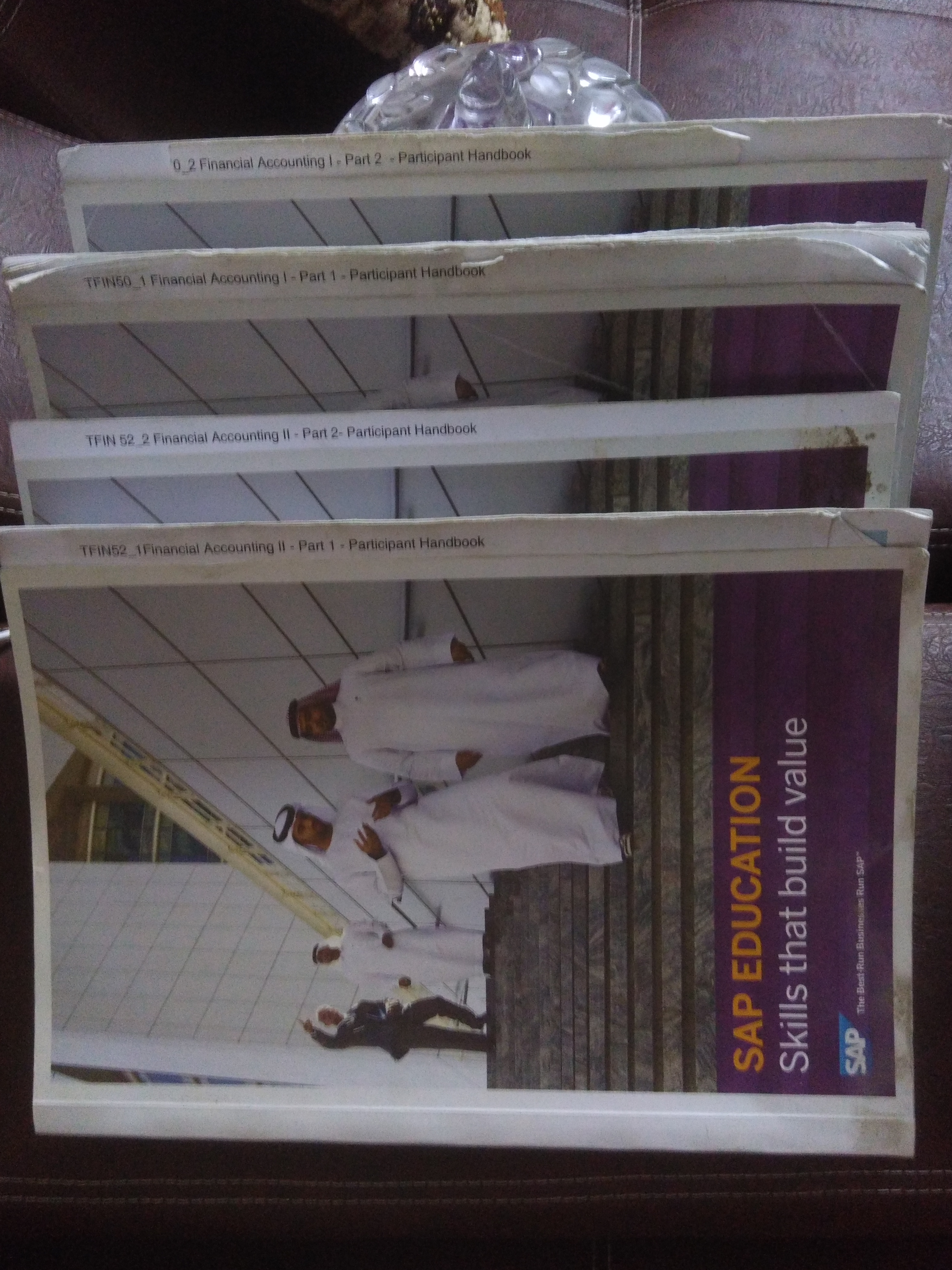 SAP Financial Accounting Books 
