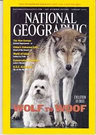 national geographic magazine, january 2002