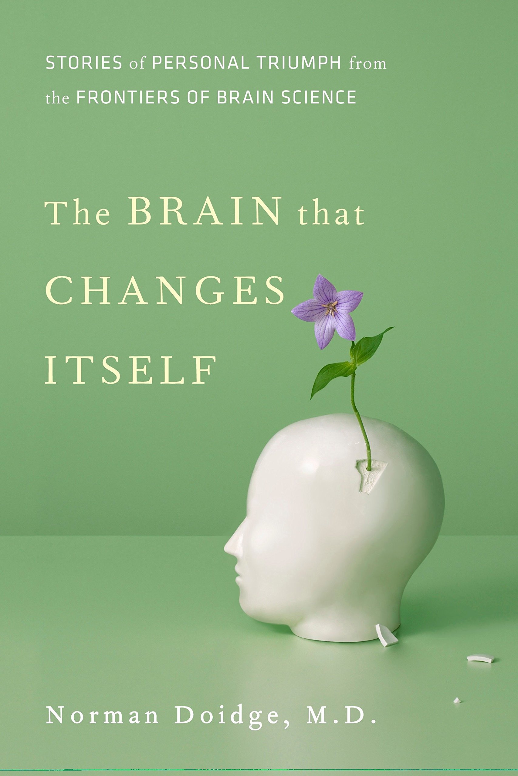 the brain that changes itself: stories of personal triumph from the frontiers of brain science