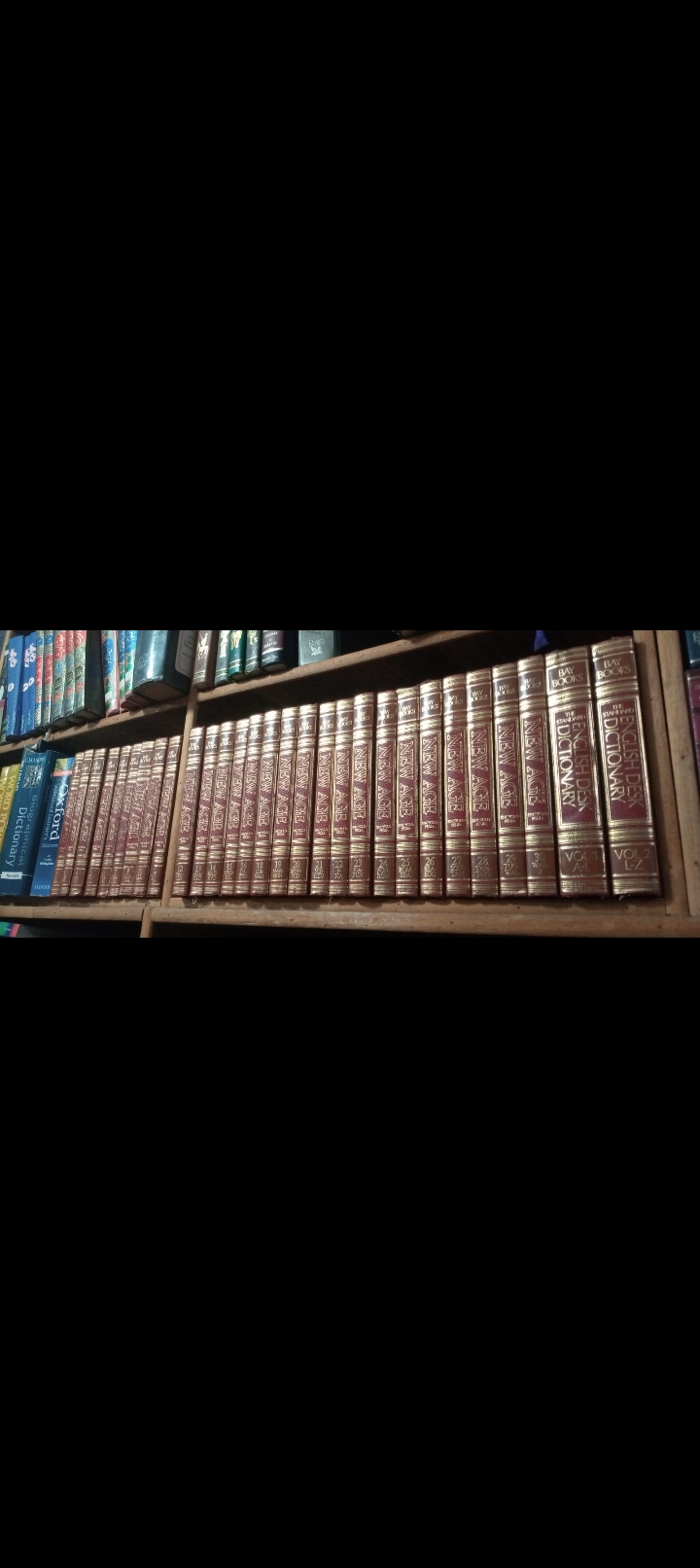 bay books english dictionary encyclopedia