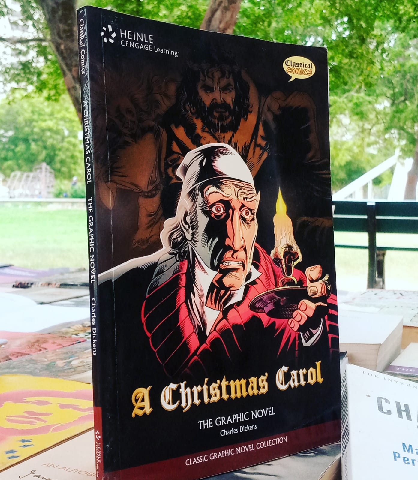 the graphic novel a christmas carol