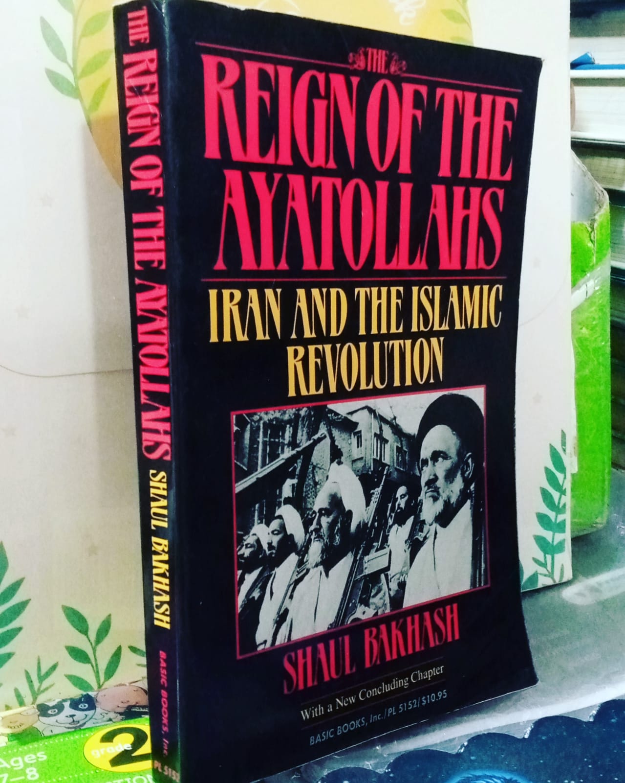 the reign of the ayatollahs iran and the islamic revolution by shaul bakhash