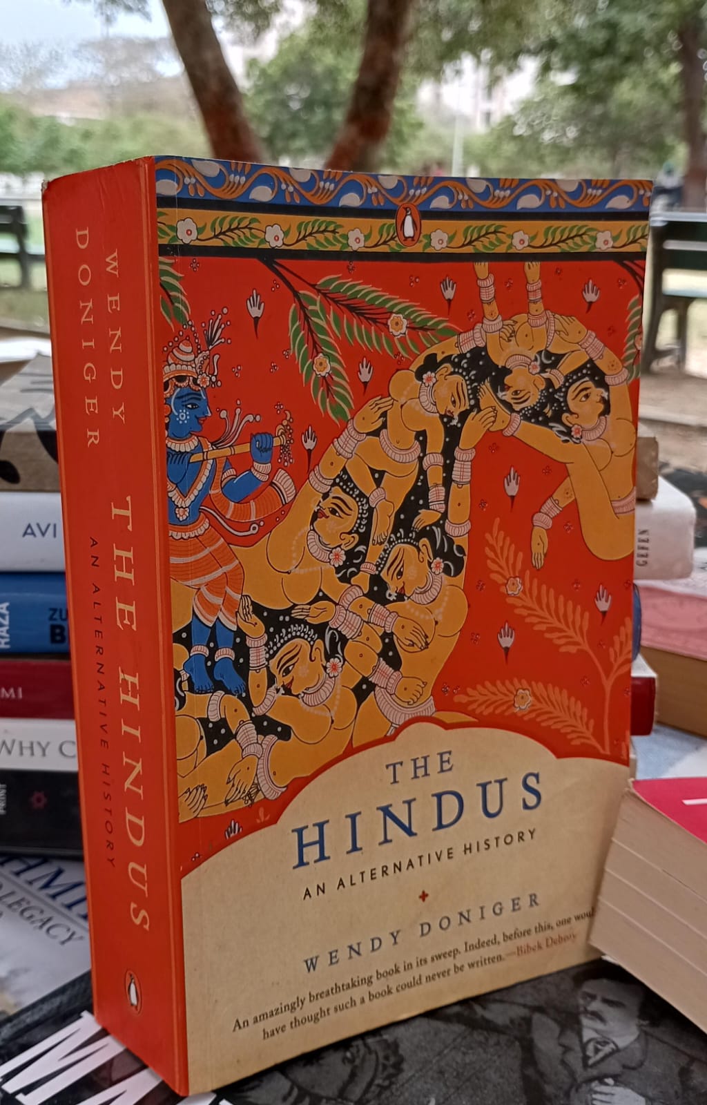 the hindus an alternative history by wendy doniger.