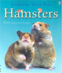 Hamsters
