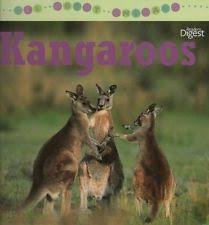 All About Animals: Kangaroos
