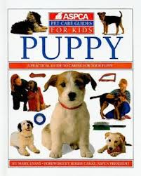 Puppy
