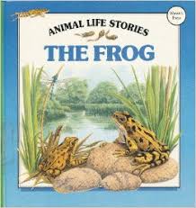 The Frog
