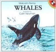 Whales 
