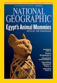 Nov 2009 Egypt's Animal Mummies
