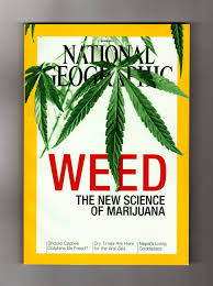 June 2015 Weed : the new Science of Marijuana
