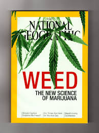 June 2015 Weed : the new Science of Marijuana
