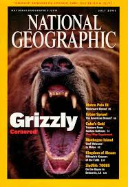 July 2001 Grizzly Cornered!
