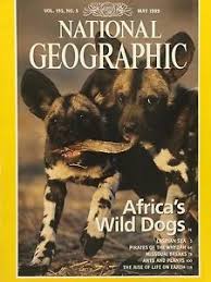 May 1999 Africa's Wild Dogs
