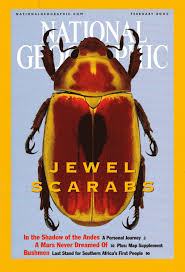 Feb 2001 Jewel Scarabs
