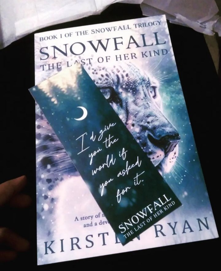 the snowfall by kristin ryan