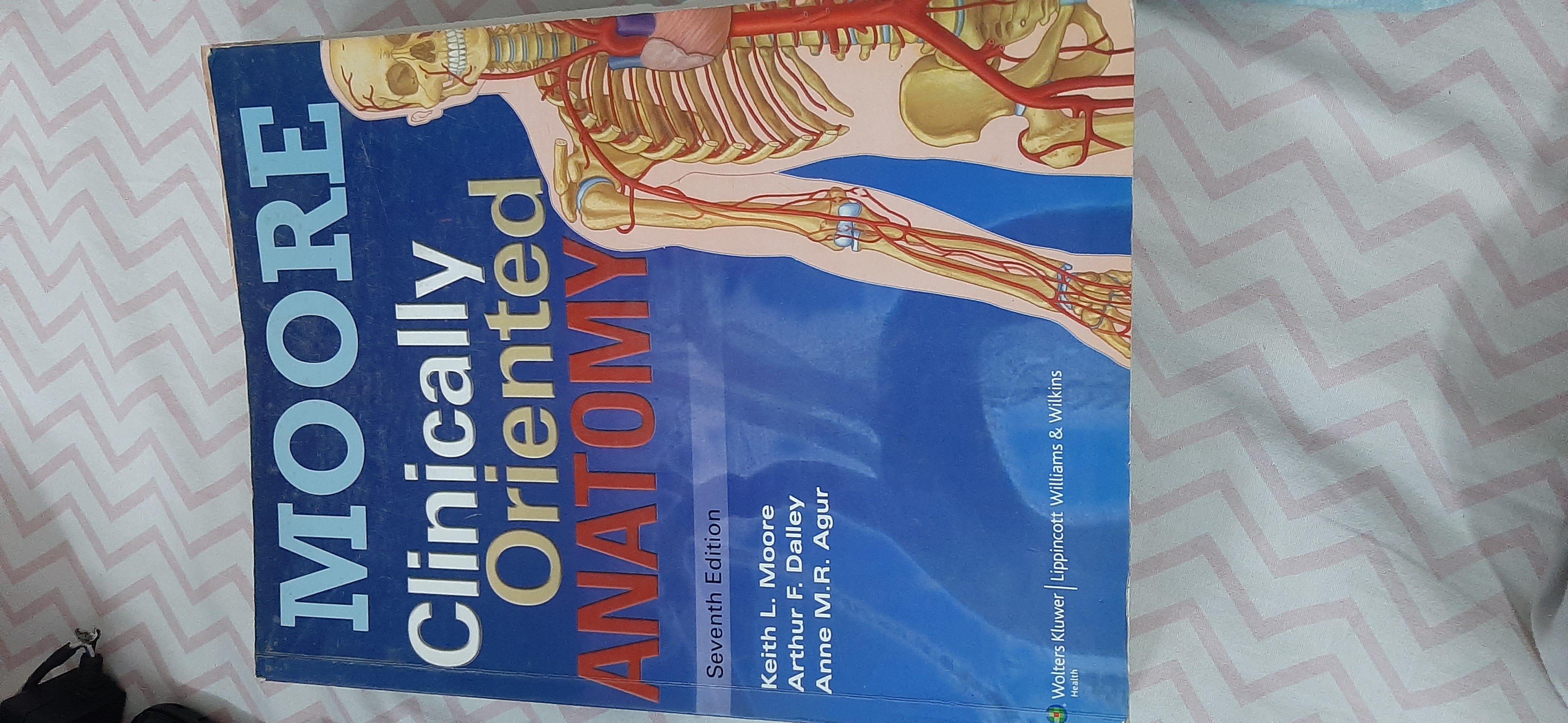 moore clinically oriented anatomy