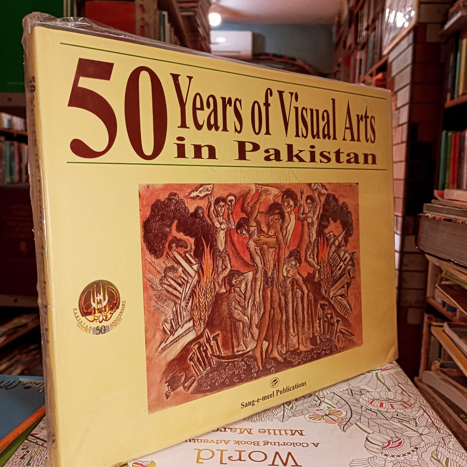 50years of visual art in pakistan