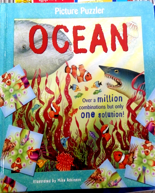 Picture Puzzlers: Oceans
