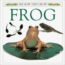 See How They Grow : Frog
