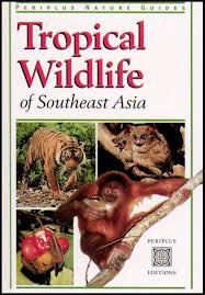 tropical wildlife