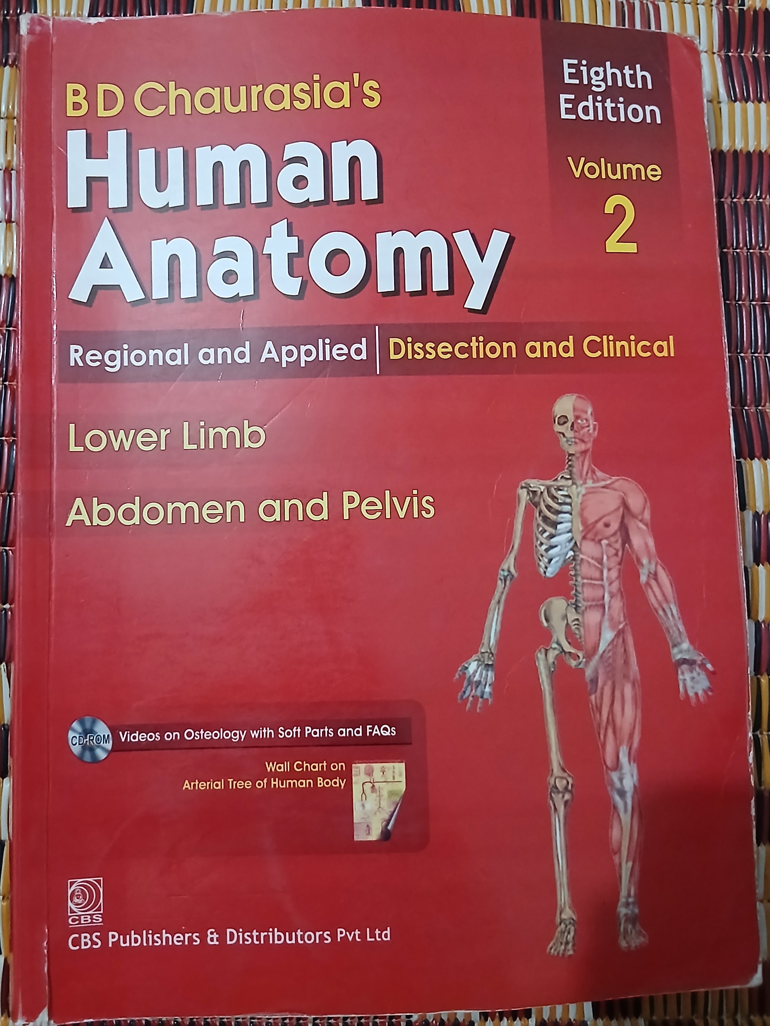 bd chaurasia's human anatomy volume 2