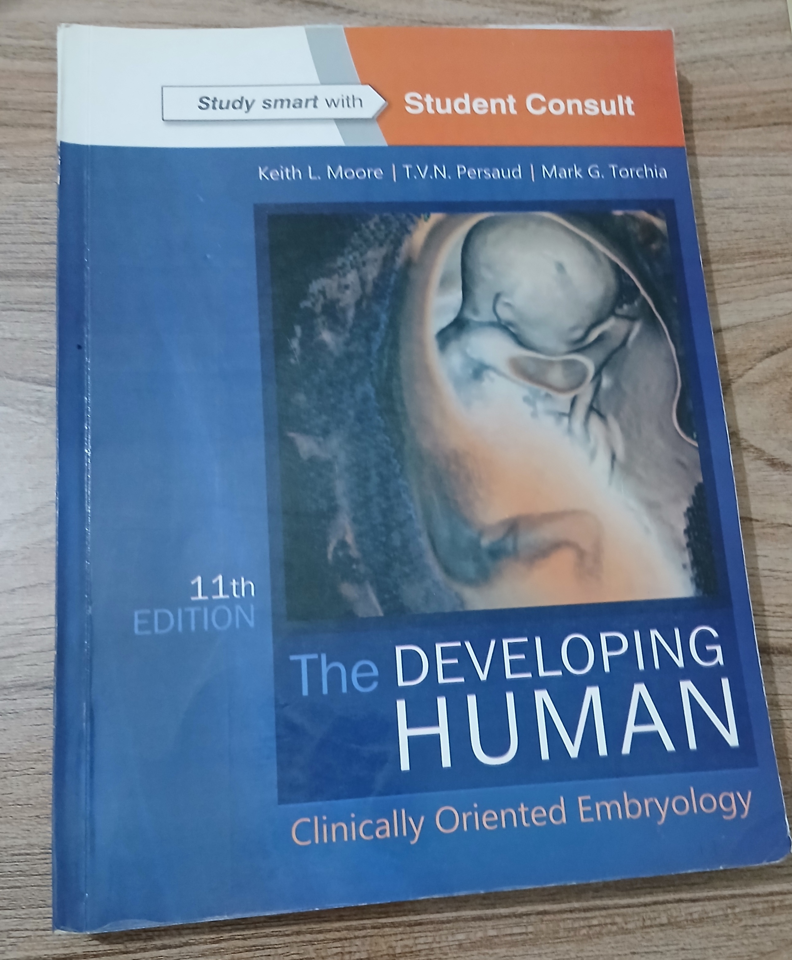 klm clinically oriented embryology
