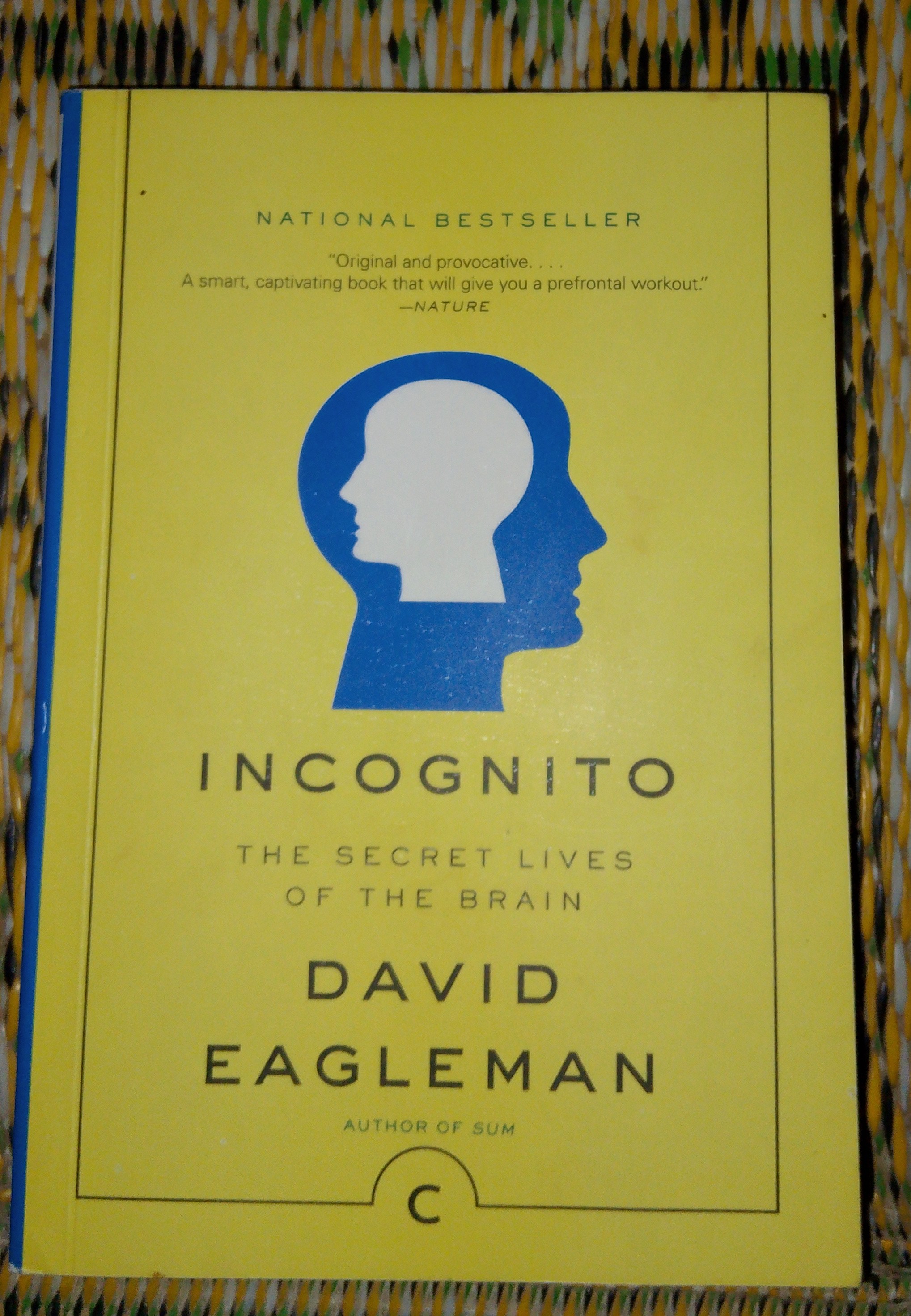 incognito the secret lives of the brain