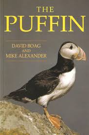 The Puffin
