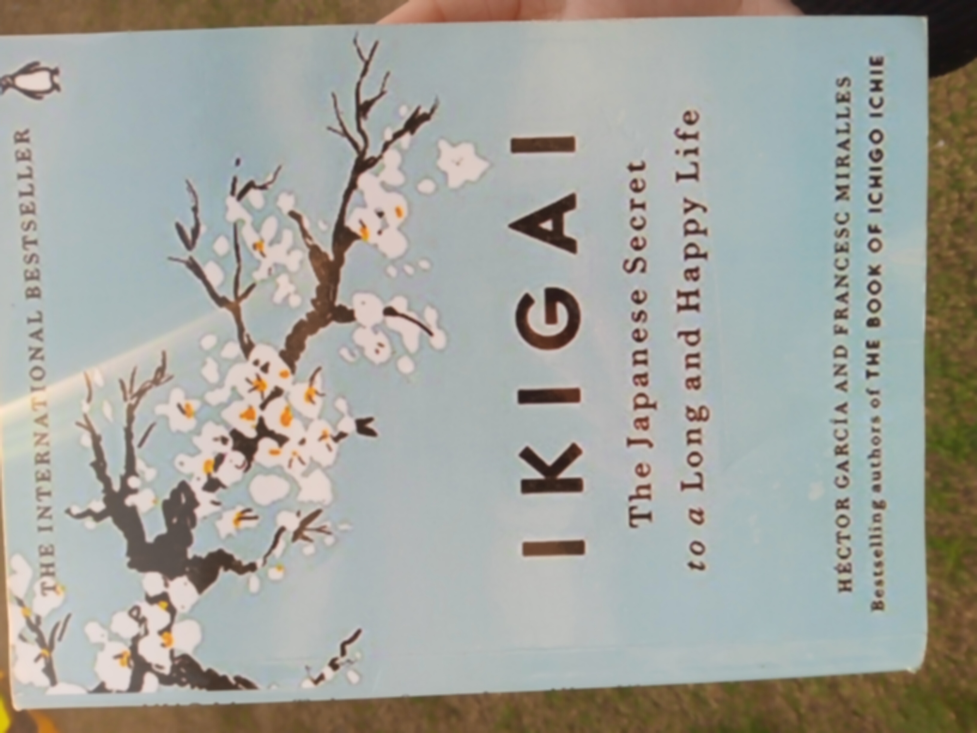 ikigai