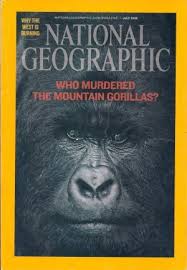 July 2008 Who Murdered the Mountain Gorillas?
