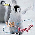 Egg to Penguin
