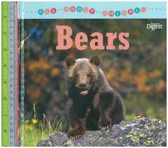 All About Animals : Bears
