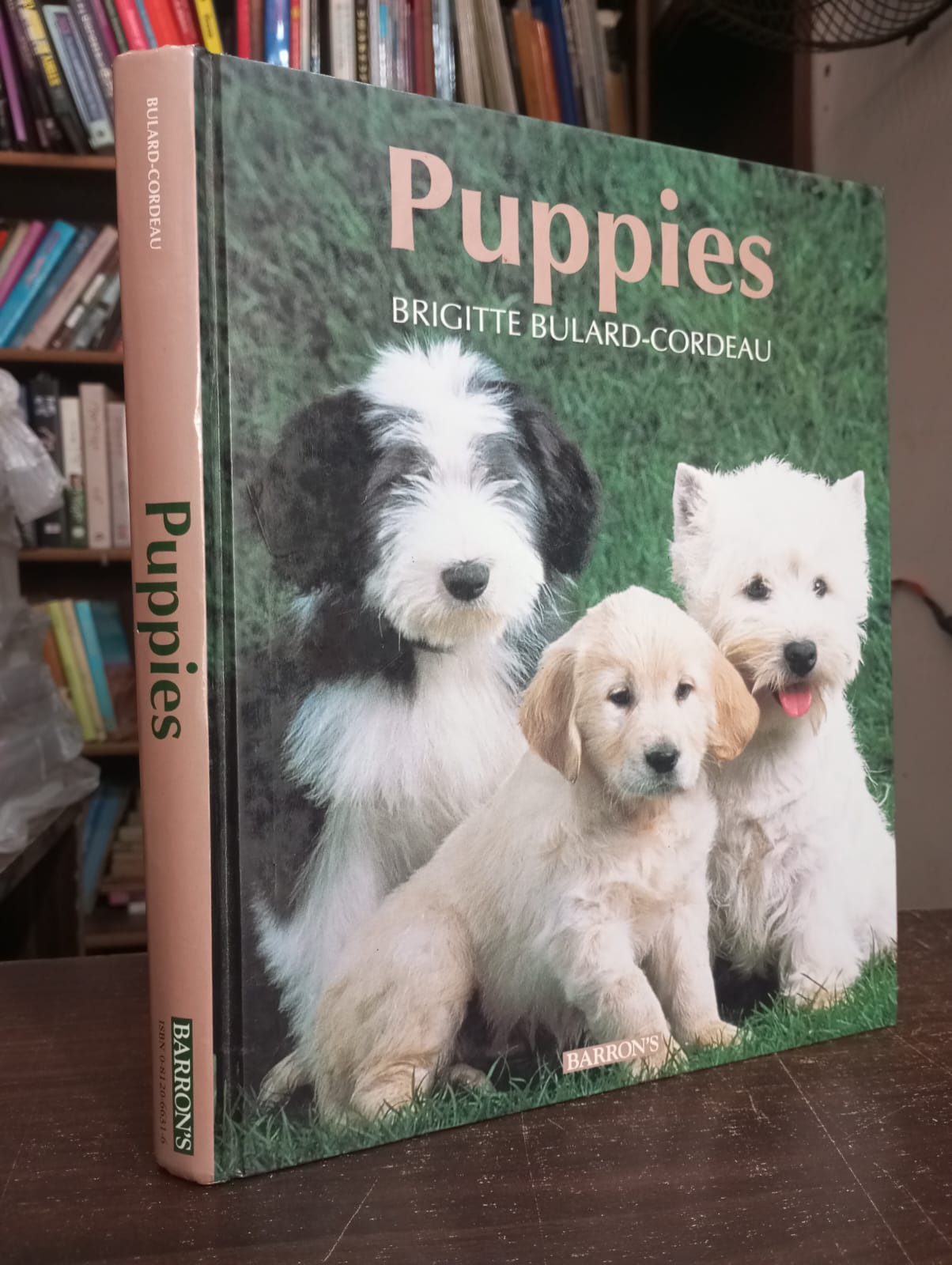 puppies