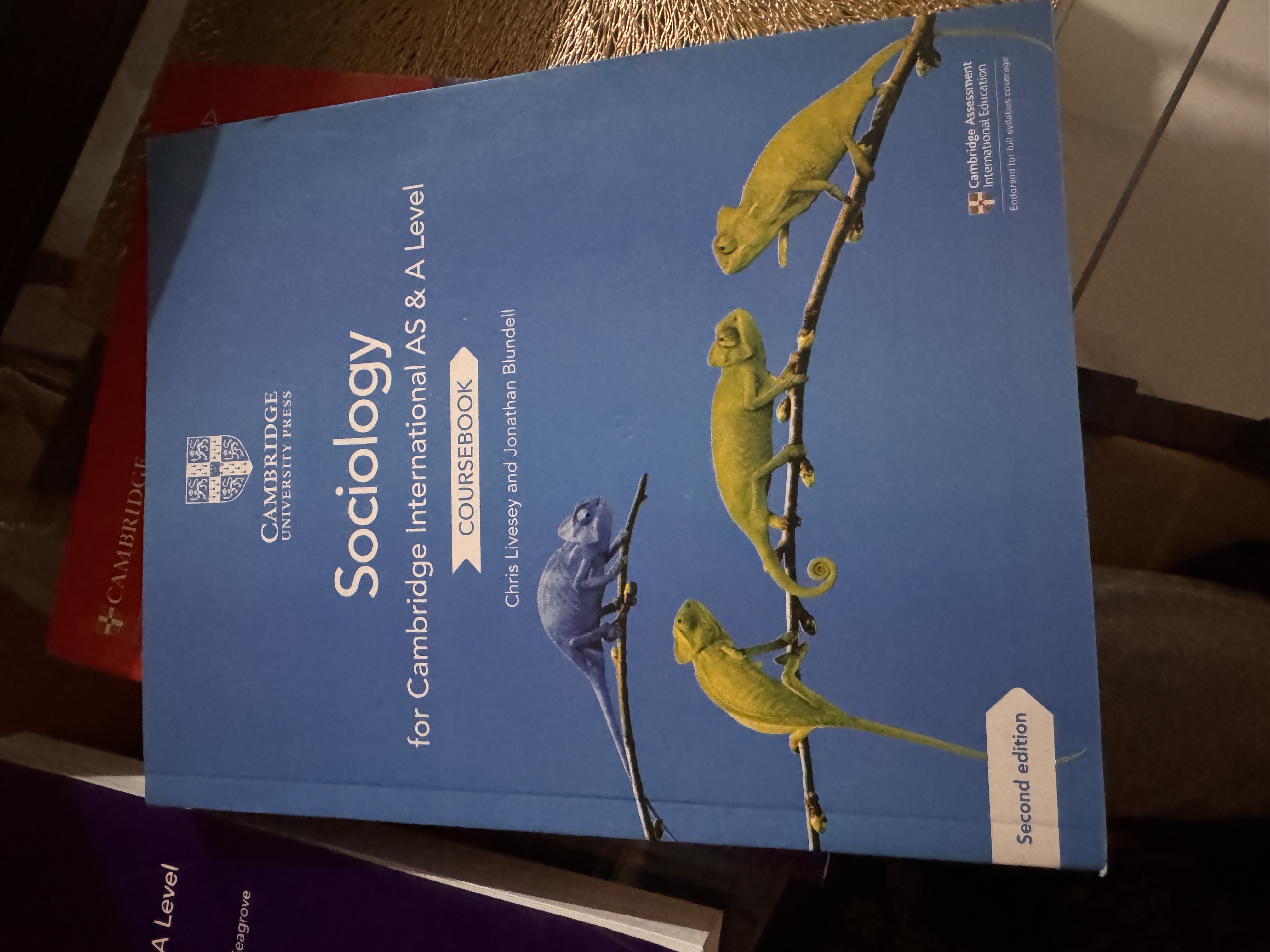 sociology as&a level (cambridge )