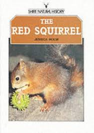 The Red Squirrel
