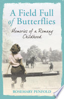 a field full of butterflies