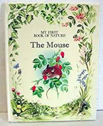 The Mouse
